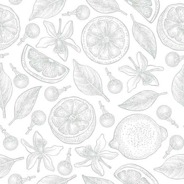 Απρόσκοπτη μοτίβο με τα λεμόνια, τα λουλούδια και φύλλα σε άσπρο φόντο. Διάνυσμα χέρι συρμένο μοτίβο. Καλή για συσκευασία σχεδιασμός, κλωστοϋφαντουργία, ταπετσαρίες και φόντα. — Διανυσματικό Αρχείο