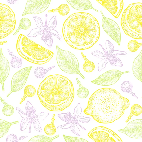 Patrón sin costuras con limones, flores y hojas sobre fondo blanco. Vector dibujado a mano patrón. Bueno para el diseño de embalaje, industria textil, fondos de pantalla y fondos . — Vector de stock