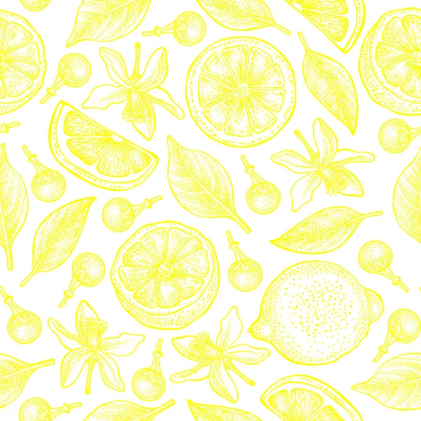Бесшовный узор с лимонами, цветами и листьями на белом фоне. Векторный ручной рисунок монохромный. Хорошо подходит для упаковки дизайна, текстильной промышленности, обоев и задней поверхности . — стоковый вектор