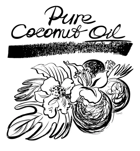 De l'huile de coco pure. Illustration graphique à la main. Style sketchy . — Image vectorielle