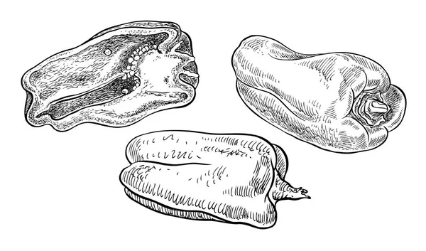 Sada vektorové červené papriky. Ručně kreslenou graphicillustration. Povrchní plynulý styl. — Stockový vektor