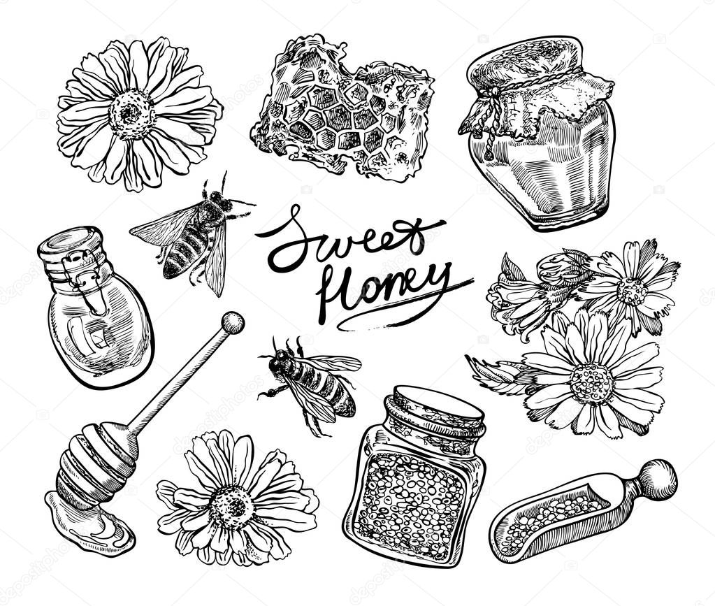 Hand drawn honey set. Vector graphic illustrations.