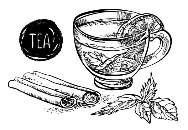 Tee mit Zitrone, Minze und Zimt. Vektor Hand gezeichnete grafische Illustration. — Stockvektor