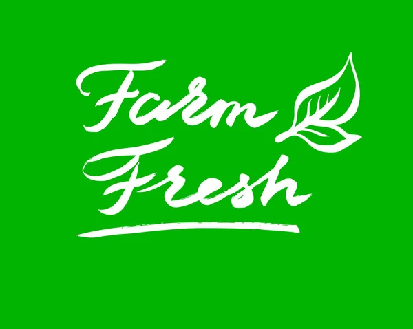 Ręcznie rysowane grafiki wektorowej Logo. Kompozycja świeży Farm. — Wektor stockowy