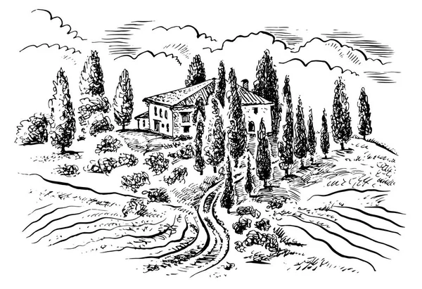 Toskanische Landschaft Vektor Hand Gezeichnete Grafische Illustration — Stockvektor