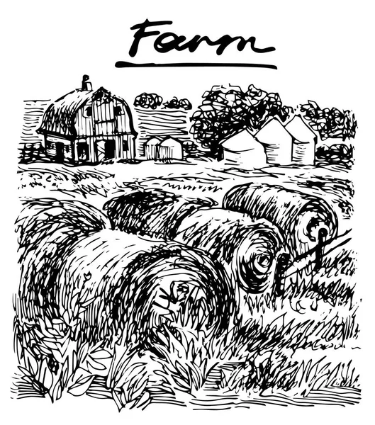 Mezőgazdasági táj. Vektor kézzel rajzolt grafikus ábrája. — Stock Vector