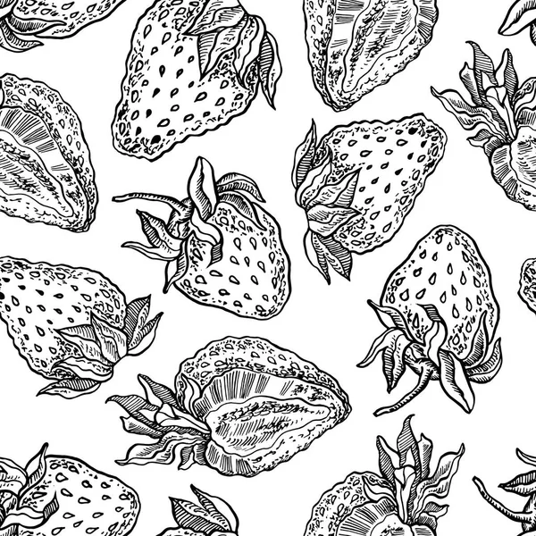 Strawberries seamless pattern. Vector hand drawn graphic illustration. — Stock Vector