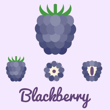 vektör blackberry, düz tasarım