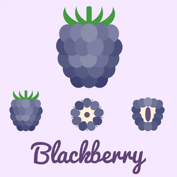 Vektor Blackberry, flaches Design — Stockvektor