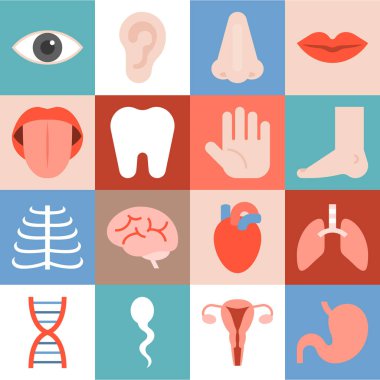 Vektör organ Icons set, düz tasarım