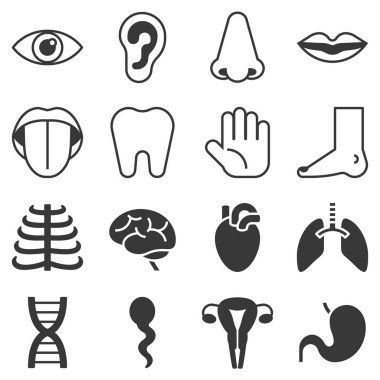 Vektör organ ve iç organ simgeler, siluet tasarım