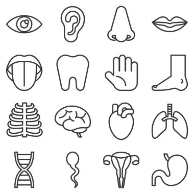 Vektör organ Icons set, ince çizgi