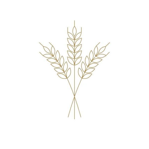 Icona del grano o dell'orzo, vettore di contorno per il logo — Vettoriale Stock