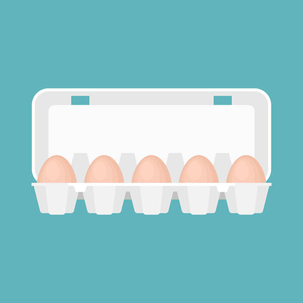 egg box in flat design vector