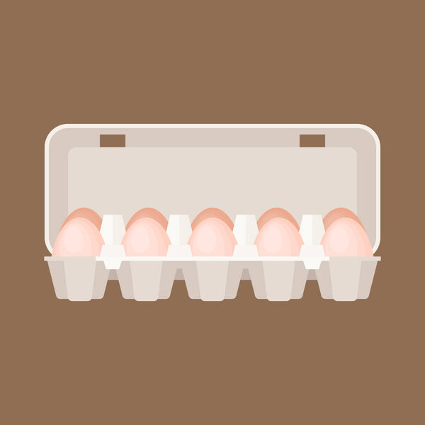egg box in flat design vector