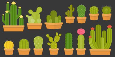 kaktüs koleksiyonu tencere, düz tasarım illüstrasyon vektör