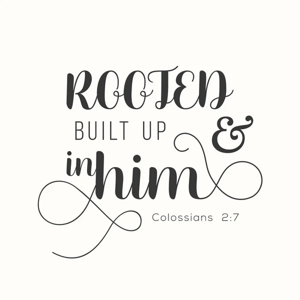 Typography Rooted and built up in him from Colossians, new testament, bible verse for encourage — Stock Vector