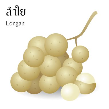 Tay alfabesi anlamı longan beyaz zemin üzerine Tay meyve vektör