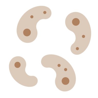 Amoeba or Bacteria vector illustration, flat design icon clipart