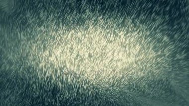 yumuşak van çizgileri