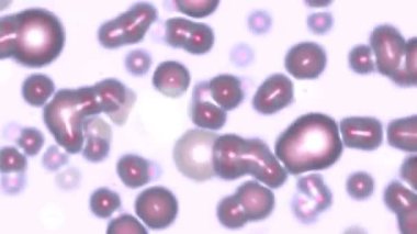 Yuvarlak şekiller oluşturulan bilgisayar çıkarımı soyut arka plan küresel, dairesel, köpüren, sıvı doku ile yüzer