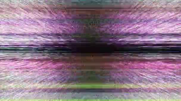 Multicoloured Horizontal Lines Static Computer Generated Abstract Animation Multicoloured Horizontal — Stock Video