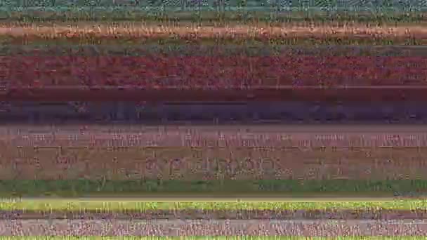 Linee Orizzontali Multicolori Con Statica Animazione Astratta Generata Computer Linee — Video Stock