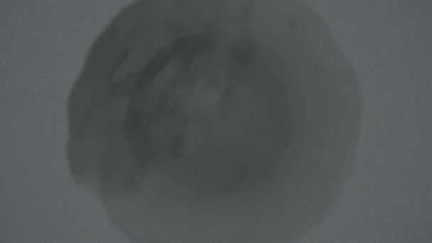 抽象背景动画不规则球形8计算机生成具有脉冲 不规则 椭圆形形状的抽象背景动画 — 图库视频影像