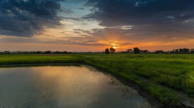 Batan güneşin demiryolu parça
