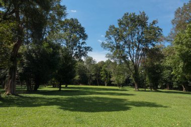 Tayland mavi gökyüzü ile yeşil park