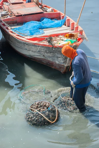 Рыбак приносит мидий в сети замачивать воду, чтобы очистить . — стоковое фото