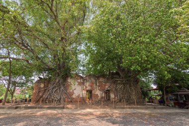 Görünmeyen Tayland, Buda eski tapınak Wat Sang Kratai Ang Thong Eyaleti, Tayland at