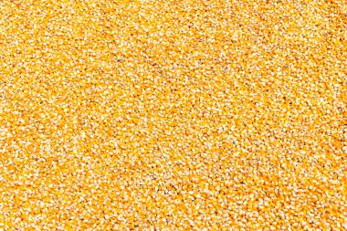 Mısır bitkileri, mısır fabrikası, mısır ve tahıl ambarı ya da hasat terminali. Mısır yemek, beslenme ya da etanol için kullanılabilir