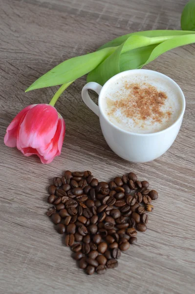 Two cups of cappuccino and flowers — Stock Photo, Image