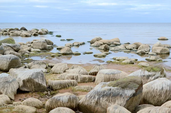 Baltık deniz manzara — Stok fotoğraf