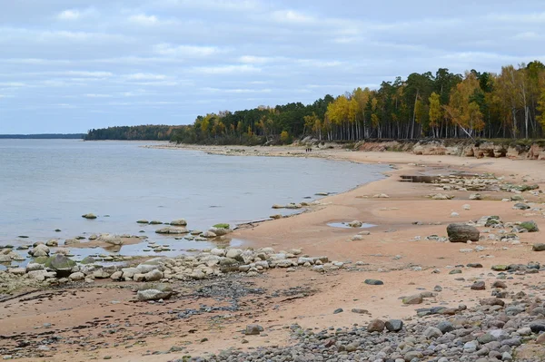 Baltık deniz manzara — Stok fotoğraf