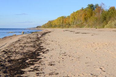 Baltık deniz manzara 