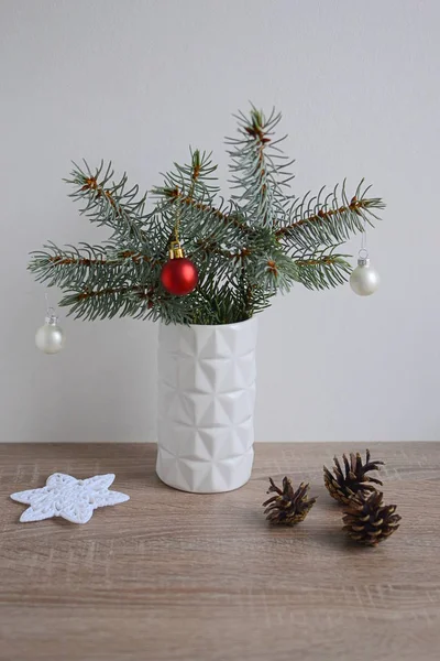 Minimalist winter home decorations — Stock Photo, Image