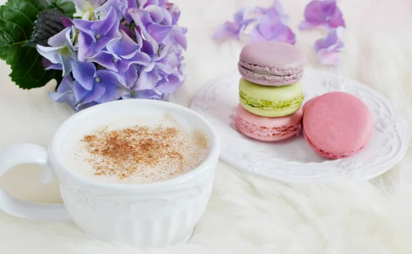 French colorful macarons — Stock Photo, Image