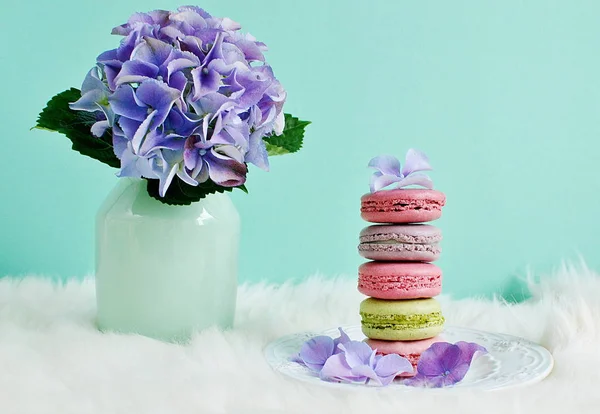 Französische farbenfrohe Macarons — Stockfoto