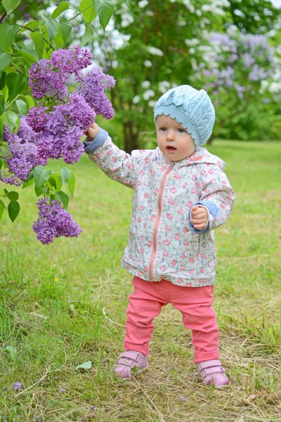 Bonito bebê menina caminhando no parque — Fotografia de Stock