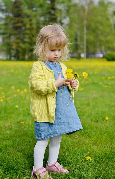 Petite fille mignonne marchant dans le parc avec le pissenlit — Photo