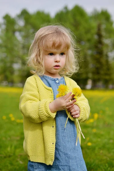 Menina bonito andando no parque com dente de leão — Fotografia de Stock