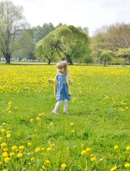 Niedliches kleines Mädchen, das im Park mit Löwenzahn spaziert — Stockfoto