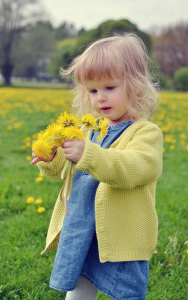 Petite fille mignonne marchant dans le parc avec le pissenlit — Photo