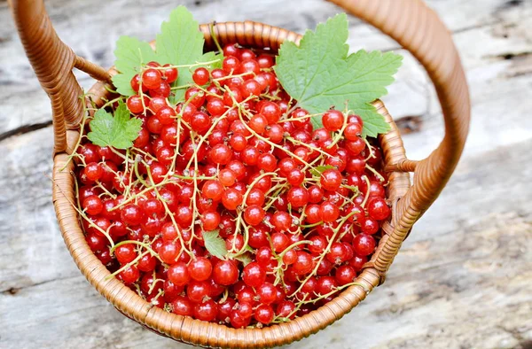 Taze organik Berry meyve somun sağlıklı kavramı