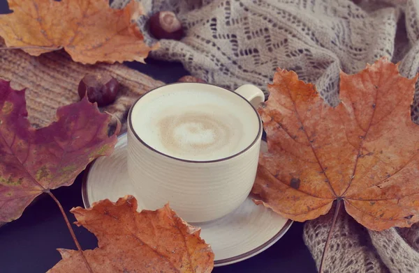 Çay fincan sıcak kahve Cappuccino sonbahar 