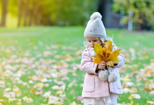 Happy Little Child Girl Caucasian Playing with Leaf Autumn Time — Stock Photo, Image