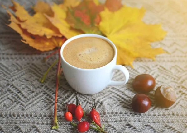 Tasse de café Feuilles jaunes d'érable tonique — Photo