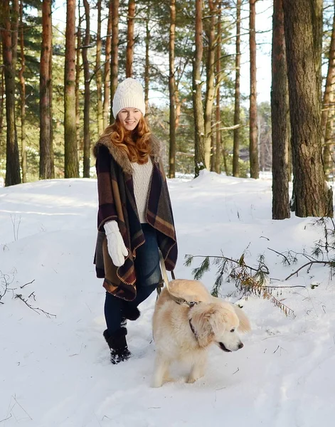 Ganska Ung Kvinna Vinter Skog Promenader Med Sin Hund Golden — Stockfoto